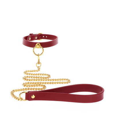 O-Ring Collar and Chain Leash