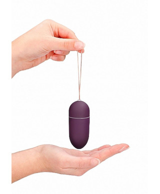 10 Speed Remote Vibrating Egg - Big - Purple