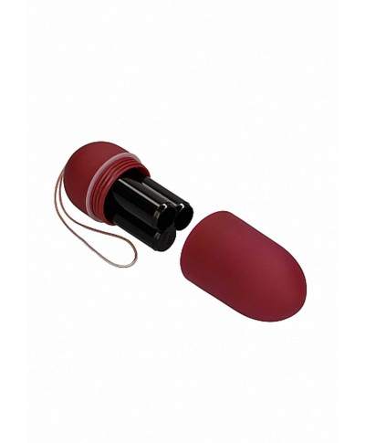 10 Speed Remote Vibrating Egg - Big - Red