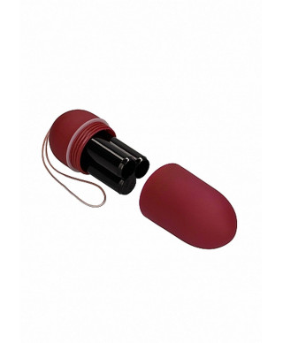 10 Speed Remote Vibrating Egg - Big - Red