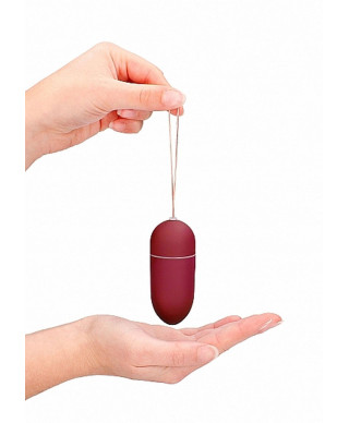 10 Speed Remote Vibrating Egg - Big - Red