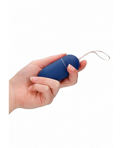 10 Speed Remote Vibrating Egg - Big - Blue