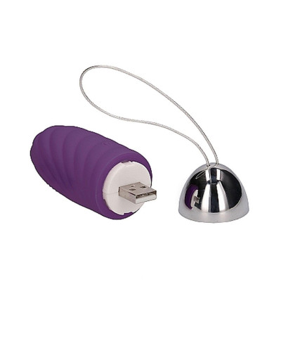 Ethan - Rechargeable Remote Control Vibrating Egg - Purple