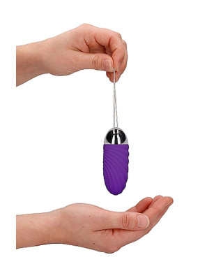 Ethan - Rechargeable Remote Control Vibrating Egg - Purple