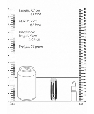 10 Speed Rechargeable Bullet - Silver