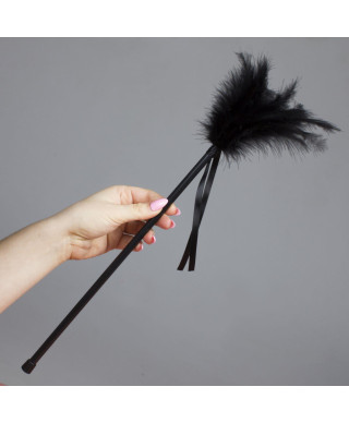 Plumero Plumas Negro black