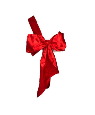 Red sexy costume bow Naughty Knot