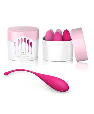 FeelzToys - FemmeFit Pelvic Muscle Training Set 6 pcs