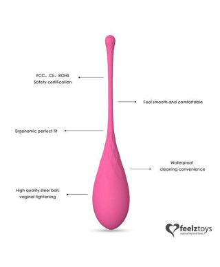 FeelzToys - FemmeFit Pelvic Muscle Training Set 6 pcs