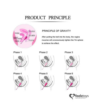 FeelzToys - FemmeFit Pelvic Muscle Training Set 6 pcs