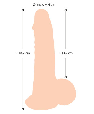 Realistyczny żylasty penis z przyssawką 19 cm