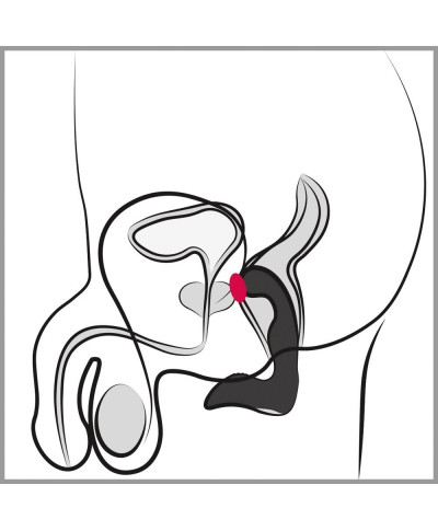 Wibrujący masażer prostaty krocza 9 trybów 14cm