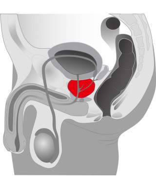 Rotacyjny masażer prostaty wibrator 5 trybów 20cm